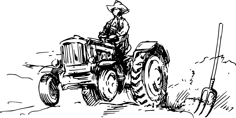 Le berger du Cap Bon